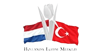 Hollanda Üniversite